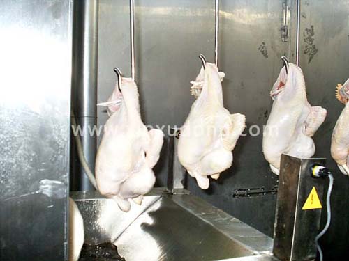 懸掛油炸生產線4